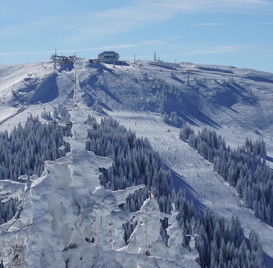 Megi apartman - Konaci Maglic Kopaonik Esterno foto